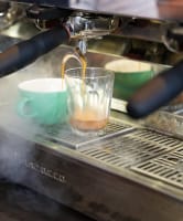 Licensed Day Trade Café with Lifestyle Appeal & Major Growth Potential