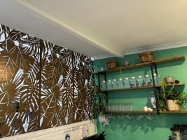 Two for the price of One looking for the Ultimate Sea Change!