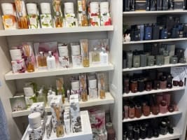 Specialty Gifts for Coastal Living (CS26126)