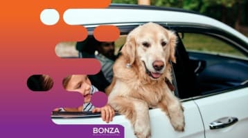 36452 Profitable Online Business - eCommerce in Premium Pet Niche