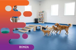 37114 Profitable Dog Daycare Business, Flexible Hours