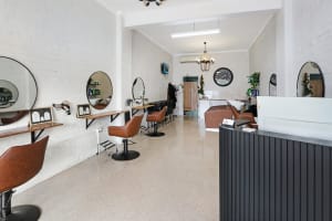 SALON SASS & CO - Established Reputation & Clientelle