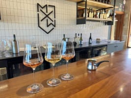 Established SA Wine Tour Operator: 25+ Years, Branded Fleet & Growth Potential