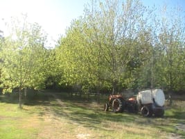 Farm Located in north NSW