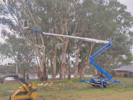 Dynamic Woodsman of Waikerie - A Rare Opportunity - Expressions of Interest