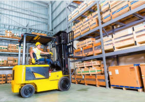Large National Toy Product Importer, Wholesaler/Distributor #381