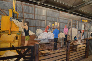 THE JEFF MORGAN GALLERY & PANORAMA CENTRE