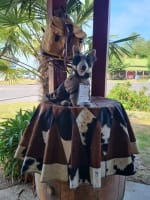 Bungendore Leather: A Tourist Hotspot 30mins From Canberra