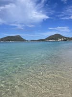 Shoal Bay Bike Hire Business in Shoal Bay