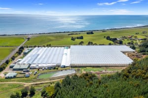Hydroponic Vegetable Crop Farm - Land, Buildings & Machinery