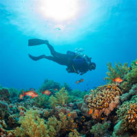 Bali Dive Center for Sale