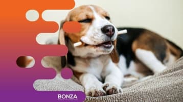 Zjgyuhrkco9tzk9pz0vu