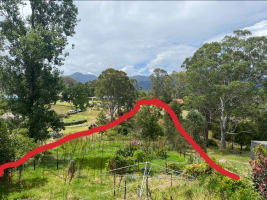 Bakery and Pie Shop - Granny Flat Accommodation Included!  – Bemboka, NSW