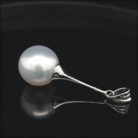 Discover a Hidden Gem