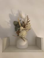 Zkfobt9e7kibkacweocs