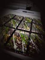 Luxury Chocolate Brand for Sale – Profitable, Staff-Run & Fully Equipped