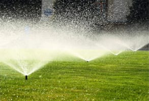 Irrigation, Pump and Outdoor Power Equipment Business