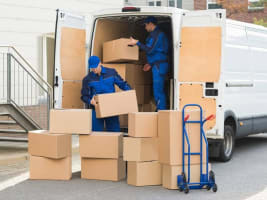 Transport & Courier Business in Coastal NSW