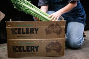 Thriving Organic Grocery Store Opportunity on the Mornington Peninsula