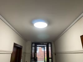 Zpue3ganqt2fvdwalmwr