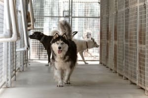 Zqgtxfgpmogymhlhtkiu