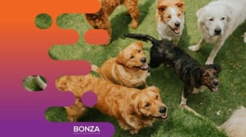 Zsac1dcasu315whhrhsz