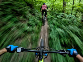 SOLD - Noosa biking business