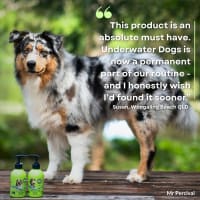 Ztmjqri9g2zr8rxqv66x