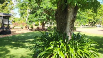 "Motivated Vendor" - Well-Established Tourist Van Park in the Heart of Charters Towers
