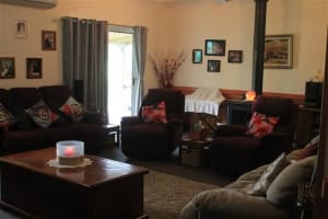 NATURES ENGINEERING WONDER PLANT