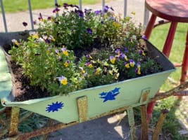 Tanash Coffee and Waffles - San Remo