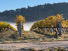 Huge Upside Well Established Business and Property - 2890CF