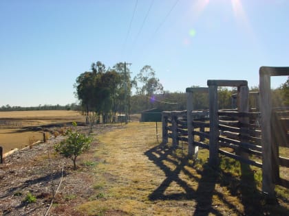 77.92 Hectares & Large Lowset Home 10 mins from Kingaroy