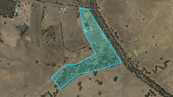 Escape the City. Bring Your Income With You.
Established Boarding Kennel Business + Home + 45 Acres