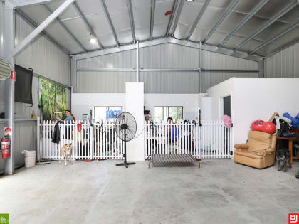 Doggy Day Care & Grooming Business Under Management
