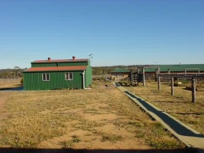 77.92 Hectares & Large Lowset Home 10 mins from Kingaroy