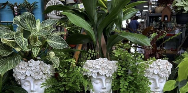 Freehold Building & Hardware Supplies Newcastle Area