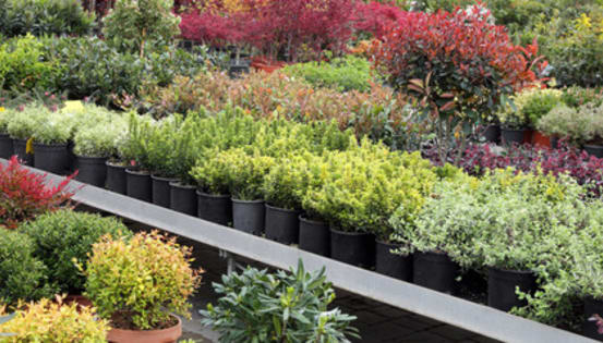 Profitable Regional Nursery | Semi-Passive Operation | Central Victoria
