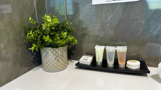 Freehold or Leasehold Resort for Sale in Port Douglas.