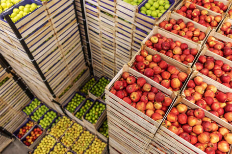 Premium Fresh Produce Wholesale & Retail – Two Distinct Businesses for Sale