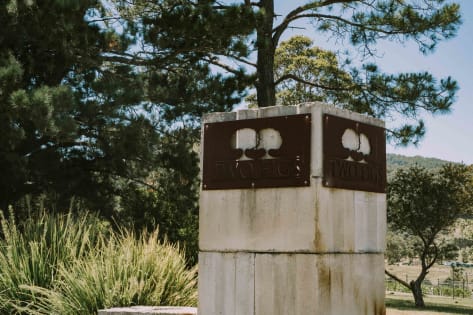 Award-Winning Two Figs Winery, Shoalhaven Coast