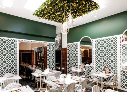 Dsqnz2qcgoqc8scyz3qu