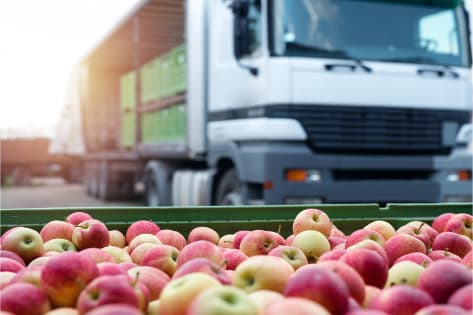 Premium Fresh Produce Wholesale & Retail – Two Distinct Businesses for Sale