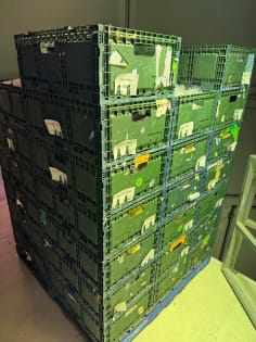 National Food Manufacturing and Distribution business for Sale (PRICE REDUCTION)