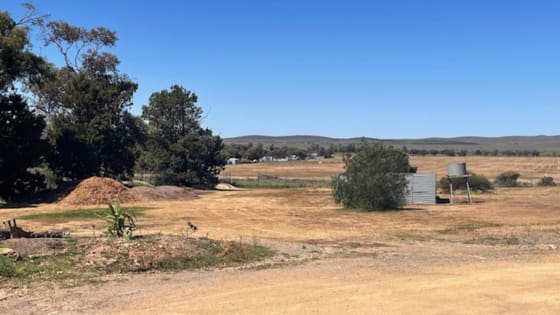 Huge Price Adjustment - Gateway to the Flinders Ranges – Peterborough Caravan Park For Sale