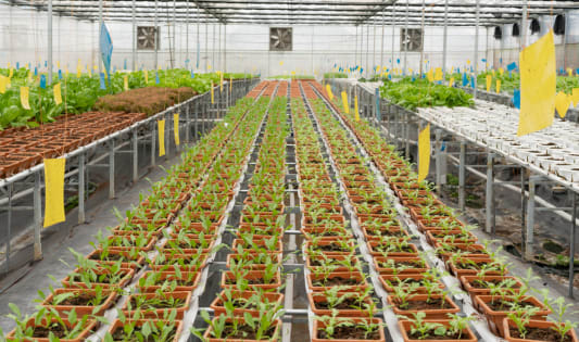 Gdzn0nti6yk2np6b6eig