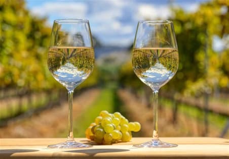 Ballandean Estate Vineyard & Winery for Sale