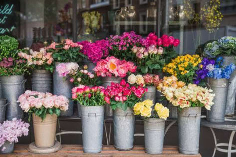Established Florist for sale in Bentleigh area