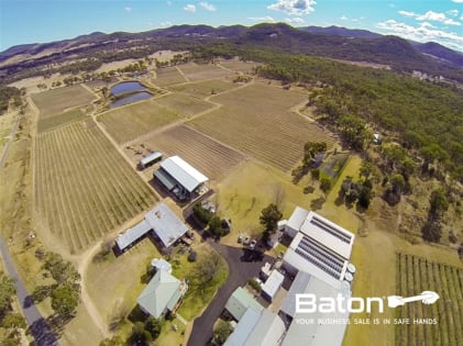 Ballandean Estate - QLD's Oldest Operated Winery, Est. 1932