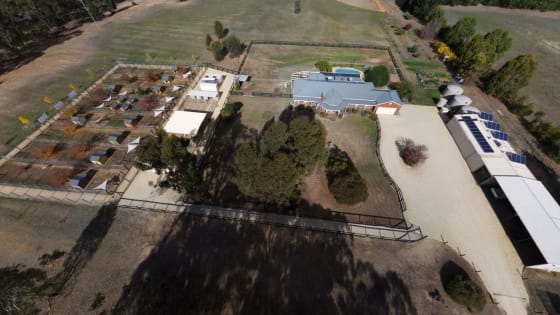 Escape the City. Bring Your Income With You.
Established Boarding Kennel Business + Home + 45 Acres